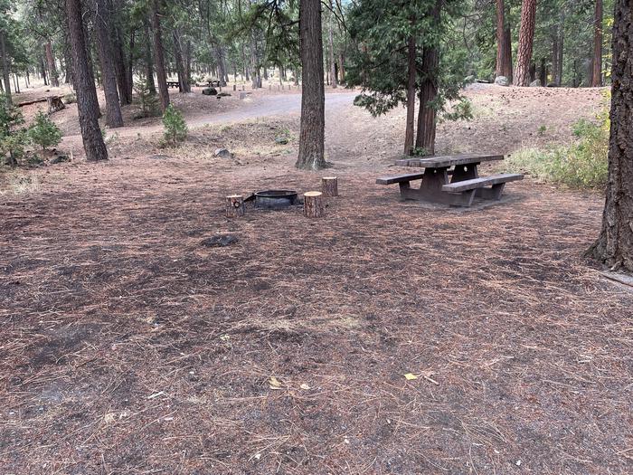 A photo of Site 018 of Loop LOWE at PERRY SOUTH CAMPGROUND with Fire Pit