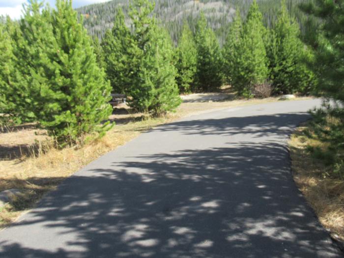 A photo of Site 41 of Loop B at Rocky Mountain National Park Timber Creek Campground