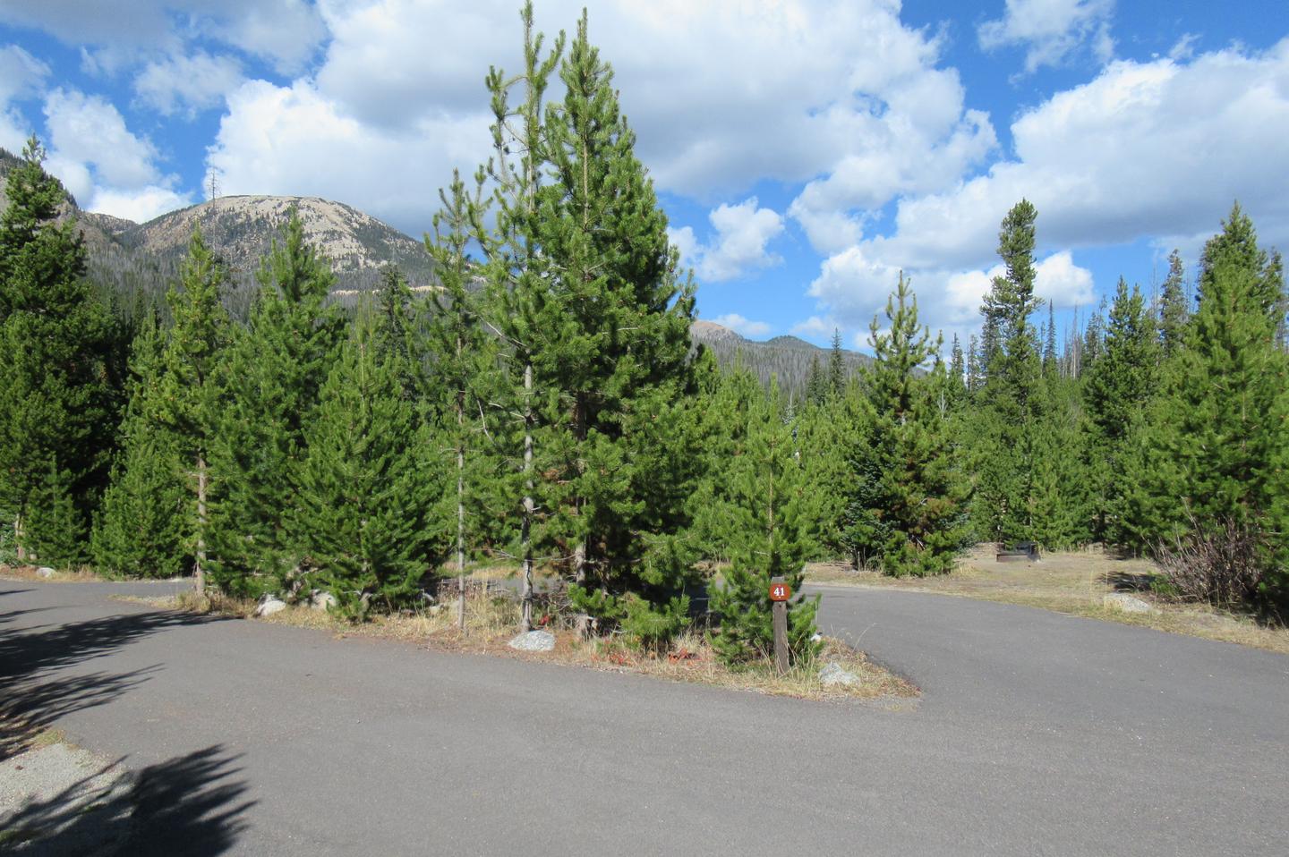 B41A photo of Site 41 of Loop B at Rocky Mountain National Park Timber Creek Campground