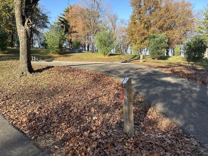 A photo of Site 1 of Loop SOUTH LOOP at Dam East - McNair Campground
