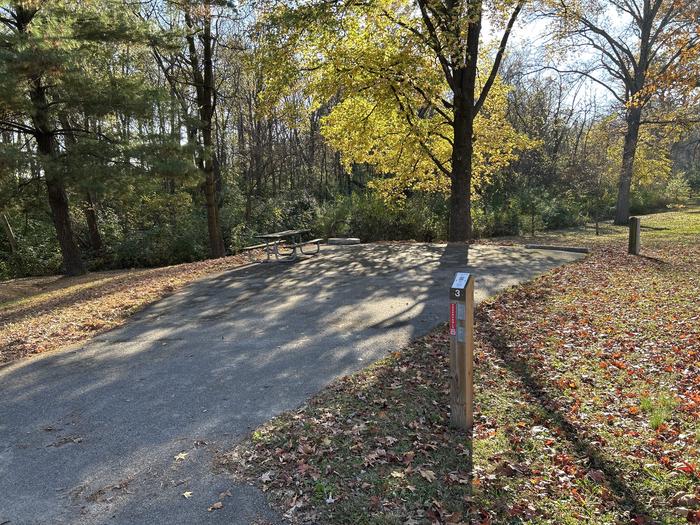 A photo of Site 3 of Loop SOUTH LOOP at Dam East - McNair Campground
