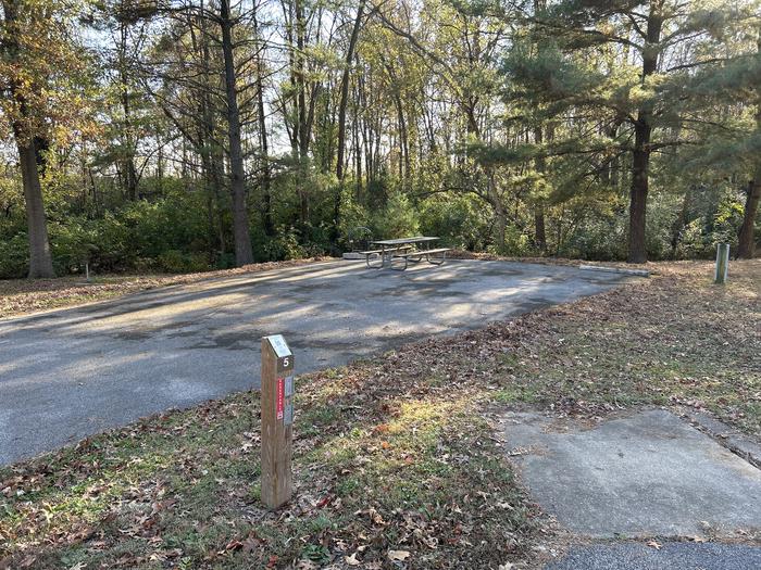 A photo of Site 5 of Loop SOUTH LOOP at Dam East - McNair Campground
