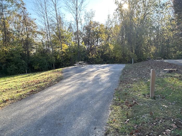 A photo of Site 8 of Loop SOUTH LOOP at Dam East - McNair Campground
