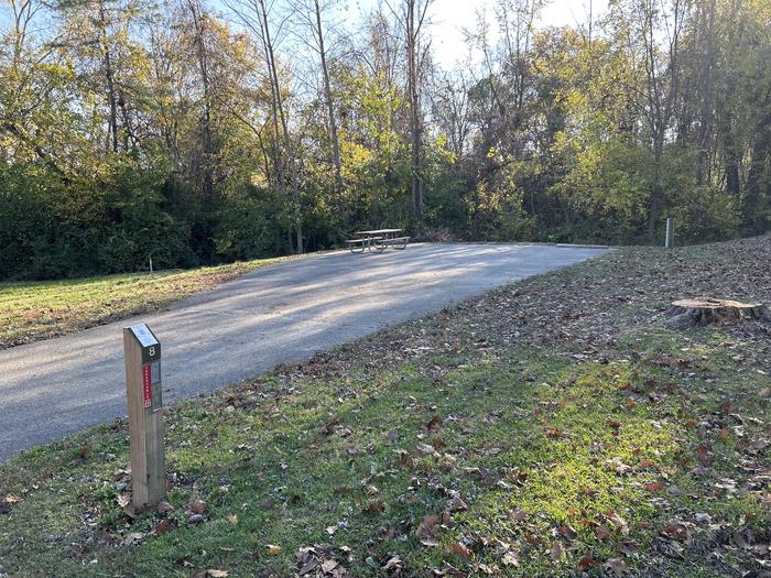 A photo of Site 8 of Loop SOUTH LOOP at Dam East - McNair Campground
