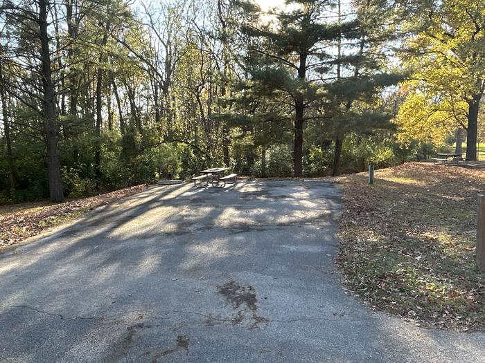 A photo of Site 5 of Loop SOUTH LOOP at Dam East - McNair Campground
