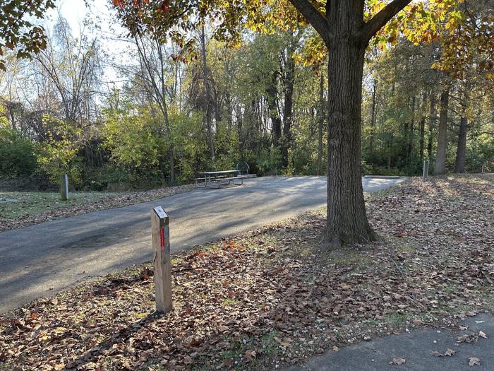 A photo of Site 7 of Loop SOUTH LOOP at Dam East - McNair Campground
