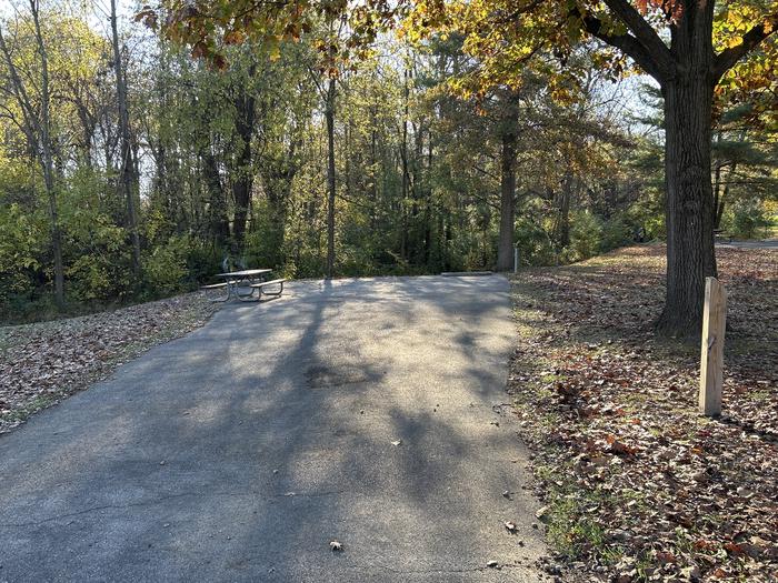 A photo of Site 7 of Loop SOUTH LOOP at Dam East - McNair Campground
