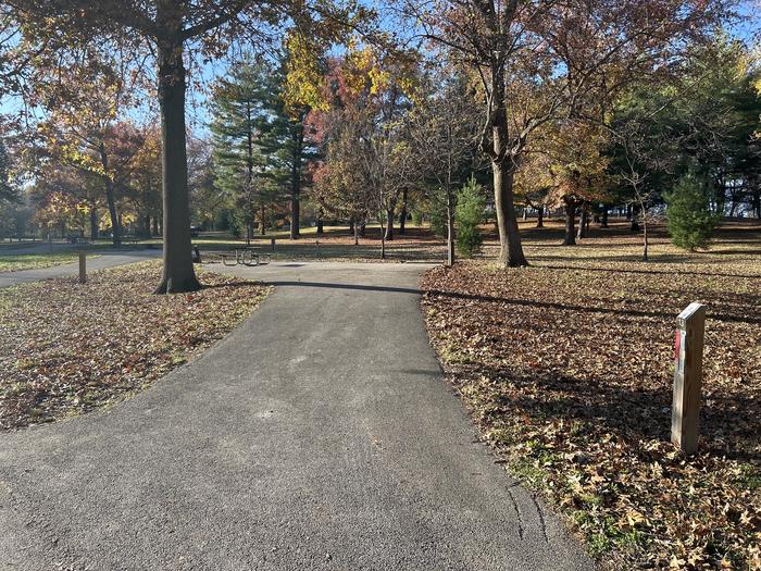 A photo of Site 13 of Loop SOUTH LOOP at Dam East - McNair Campground
