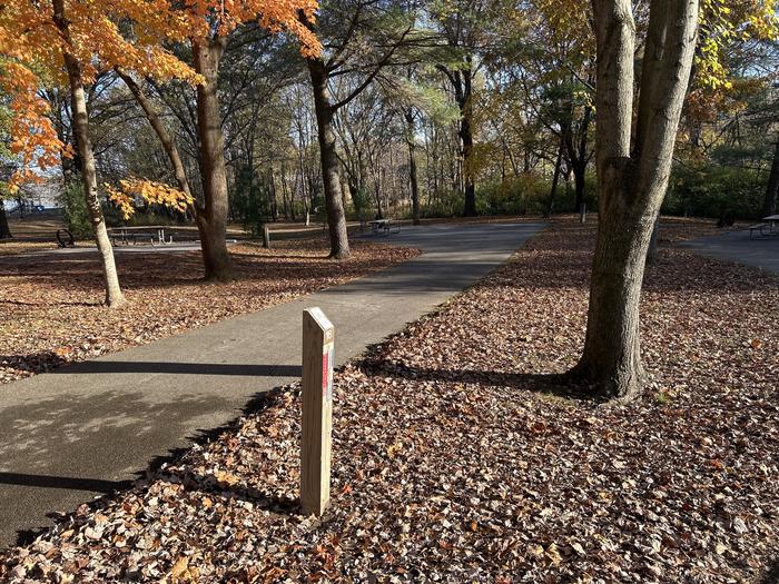 A photo of Site 16 of Loop SOUTH LOOP at Dam East - McNair Campground
