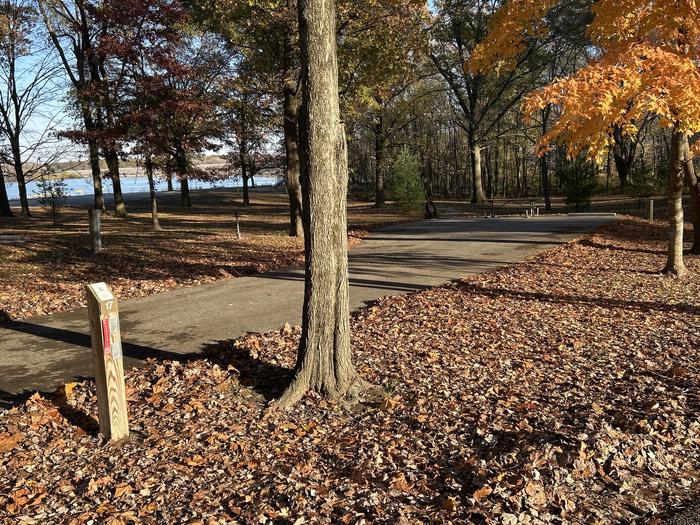 A photo of Site 17 of Loop SOUTH LOOP at Dam East - McNair Campground
