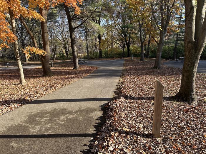 A photo of Site 16 of Loop SOUTH LOOP at Dam East - McNair Campground
