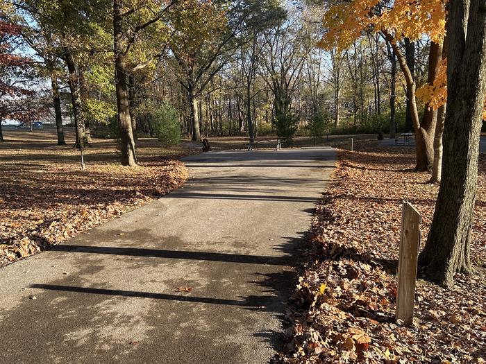 A photo of Site 17 of Loop SOUTH LOOP at Dam East - McNair Campground
