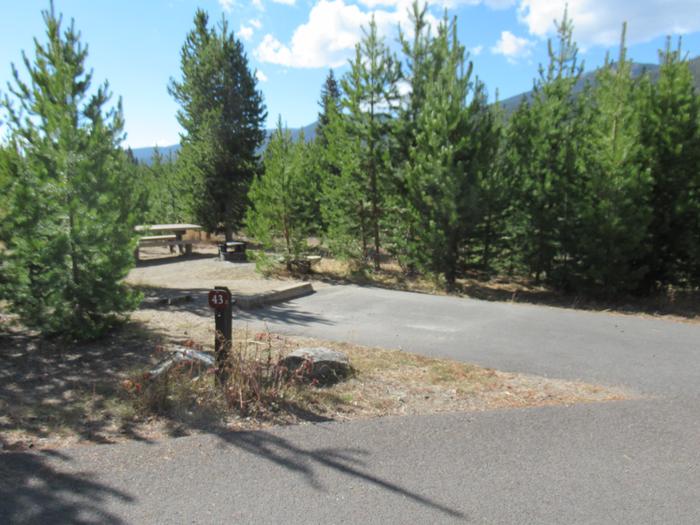 B43A photo of Site 43 of Loop B at Rocky Mountain National Park Timber Creek Campground