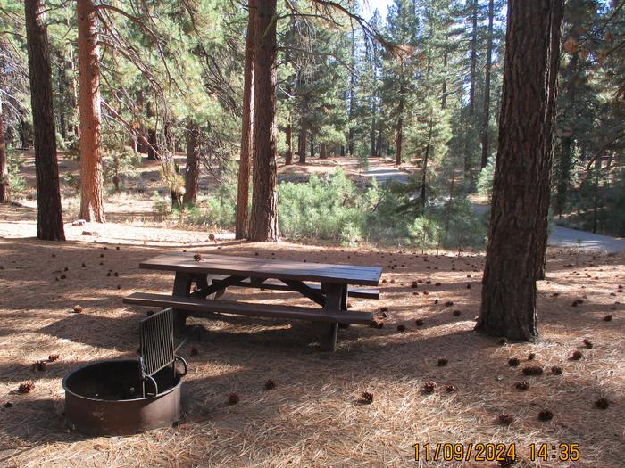 A photo of Site 001 of Loop LOO1 at GRASSHOPPER FLAT with Picnic Table, Fire Pit, Shade