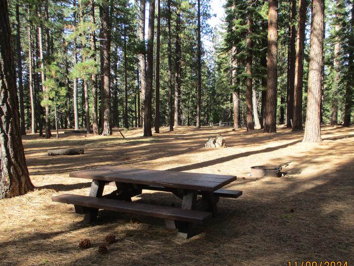 A photo of Site 002 of Loop LOO1 at GRASSHOPPER FLAT with Picnic Table, Fire Pit, Shade