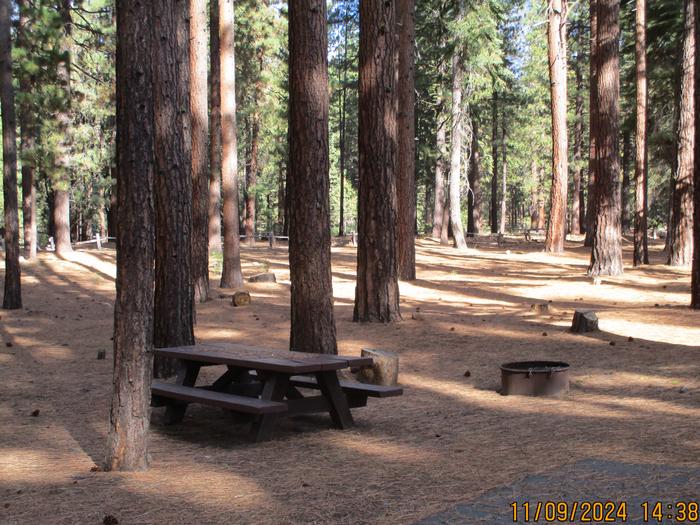 A photo of Site 003 of Loop LOO1 at GRASSHOPPER FLAT with Picnic Table, Fire Pit, Shade