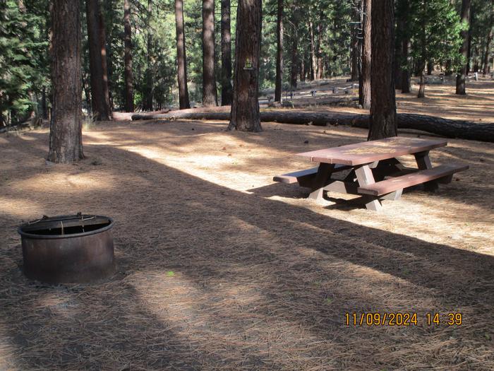 A photo of Site 005 of Loop LOO1 at GRASSHOPPER FLAT with Picnic Table, Fire Pit, Shade