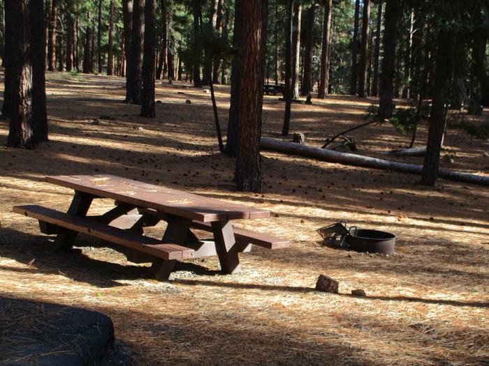 A photo of Site 006 of Loop LOO1 at GRASSHOPPER FLAT with Picnic Table, Fire Pit, Shade