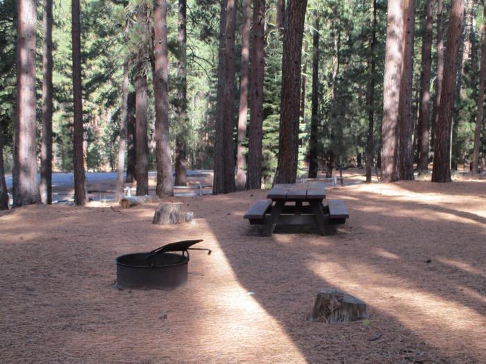 A photo of Site 007 of Loop LOO1 at GRASSHOPPER FLAT with Picnic Table, Fire Pit, Shade