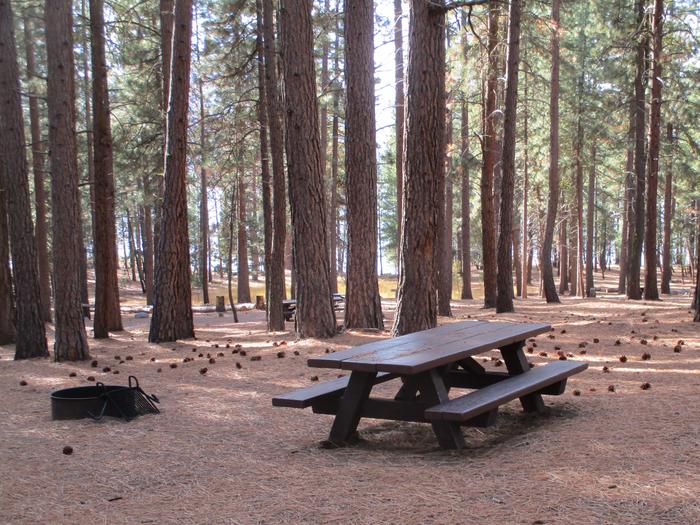 A photo of Site 008 of Loop LOO1 at GRASSHOPPER FLAT with Picnic Table, Fire Pit, Shade