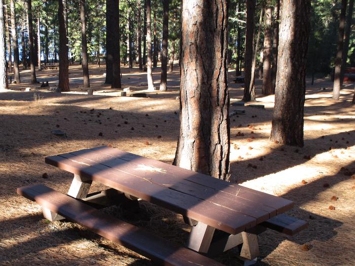 A photo of Site 011 of Loop LOO1 at GRASSHOPPER FLAT with Picnic Table, Fire Pit, Shade