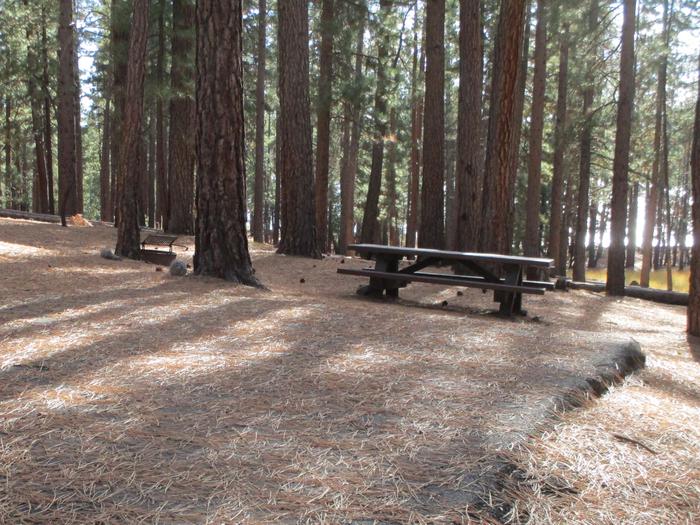 A photo of Site 012 of Loop LOO1 at GRASSHOPPER FLAT with Picnic Table, Fire Pit, Shade