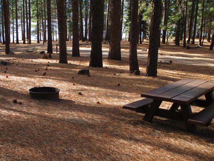 A photo of Site 013 of Loop LOO1 at GRASSHOPPER FLAT with Picnic Table, Fire Pit, Shade