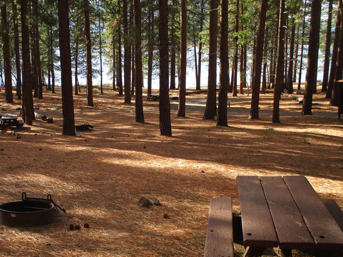 A photo of Site 014 of Loop LOO1 at GRASSHOPPER FLAT with Picnic Table, Fire Pit, Shade