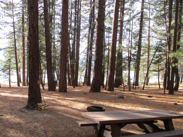 A photo of Site 017 of Loop LOO1 at GRASSHOPPER FLAT with Picnic Table, Fire Pit, Shade