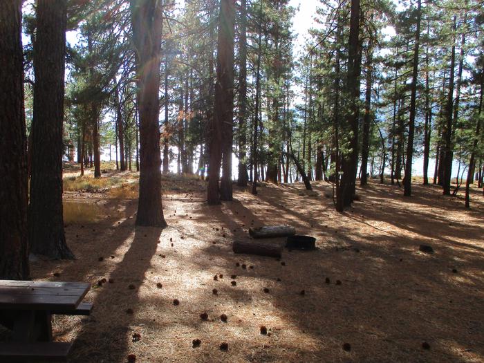 A photo of Site 018 of Loop LOO1 at GRASSHOPPER FLAT with Picnic Table, Fire Pit, Shade