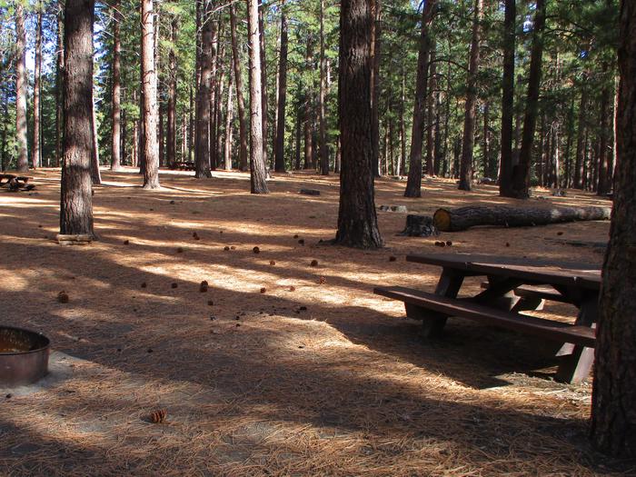 A photo of Site 019 of Loop LOO1 at GRASSHOPPER FLAT with Picnic Table, Fire Pit, Shade