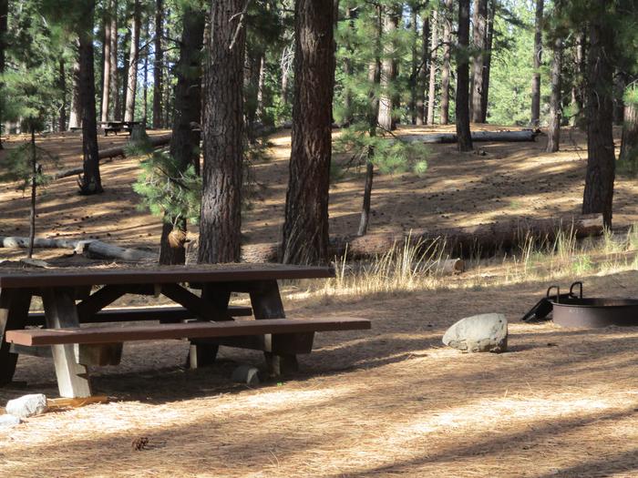 A photo of Site 028 of Loop LOO1 at GRASSHOPPER FLAT with Picnic Table, Fire Pit, Shade