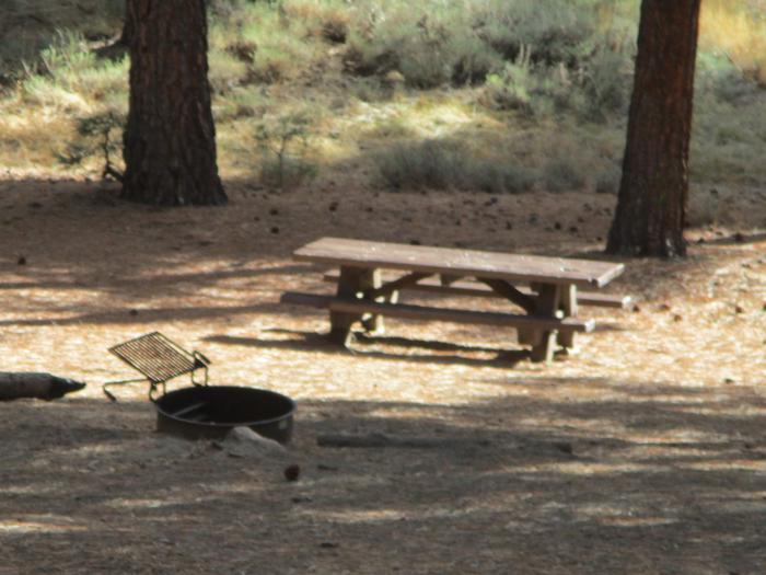 A photo of Site 029 of Loop LOO1 at GRASSHOPPER FLAT with Picnic Table, Fire Pit, Shade