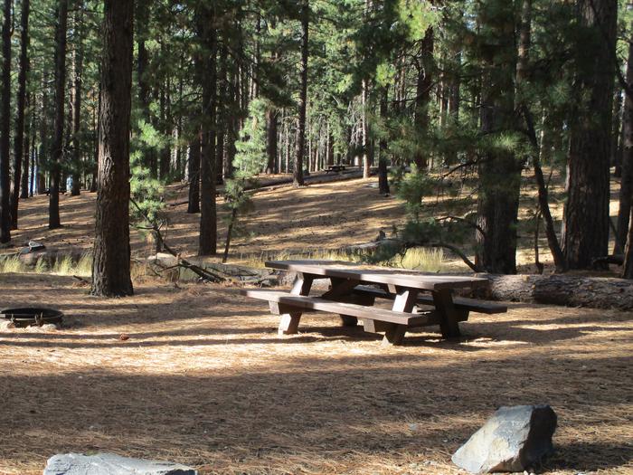 A photo of Site 030 of Loop LOO1 at GRASSHOPPER FLAT with Picnic Table, Fire Pit, Shade