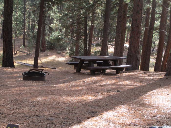 A photo of Site 031 of Loop LOO1 at GRASSHOPPER FLAT with Picnic Table, Fire Pit, Shade