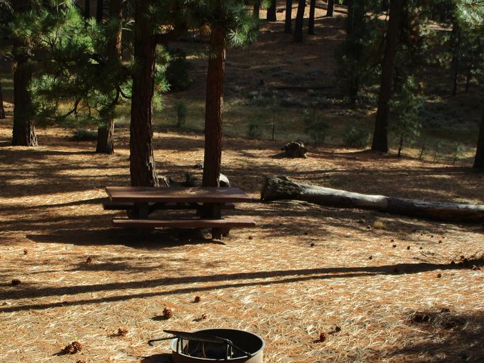 A photo of Site 033 of Loop LOO1 at GRASSHOPPER FLAT with Picnic Table, Fire Pit, Shade