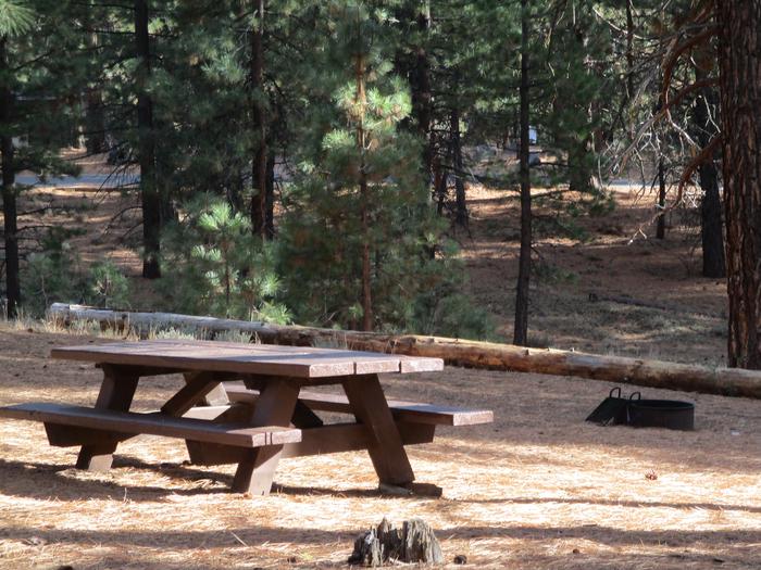 A photo of Site 034 of Loop LOO1 at GRASSHOPPER FLAT with Picnic Table, Fire Pit, Shade