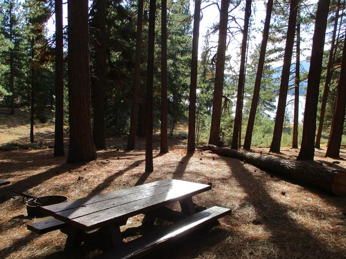 A photo of Site 037 of Loop LOO1 at GRASSHOPPER FLAT with Picnic Table, Fire Pit, Shade