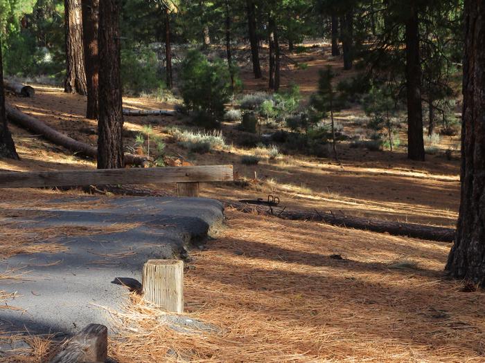 A photo of Site 036 of Loop LOO1 at GRASSHOPPER FLAT with Picnic Table, Fire Pit, Shade