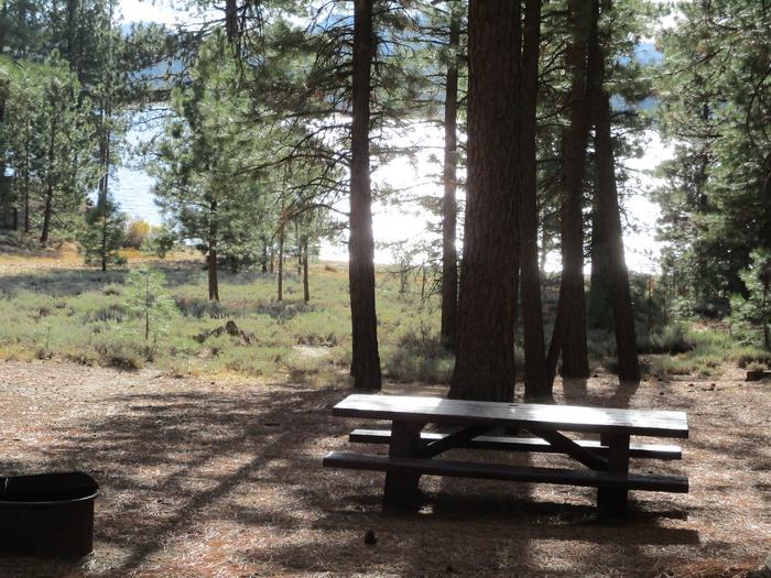 A photo of Site 039 of Loop LOO1 at GRASSHOPPER FLAT with Picnic Table, Fire Pit, Shade