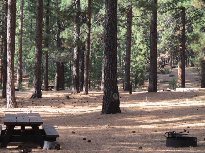 A photo of Site 040 of Loop LOO1 at GRASSHOPPER FLAT with Picnic Table, Fire Pit, Shade