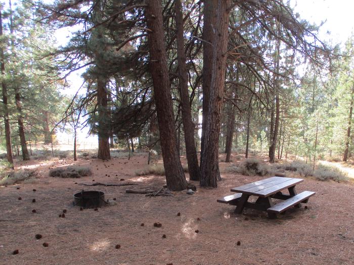 A photo of Site 041 of Loop LOO1 at GRASSHOPPER FLAT with Picnic Table, Fire Pit, Shade