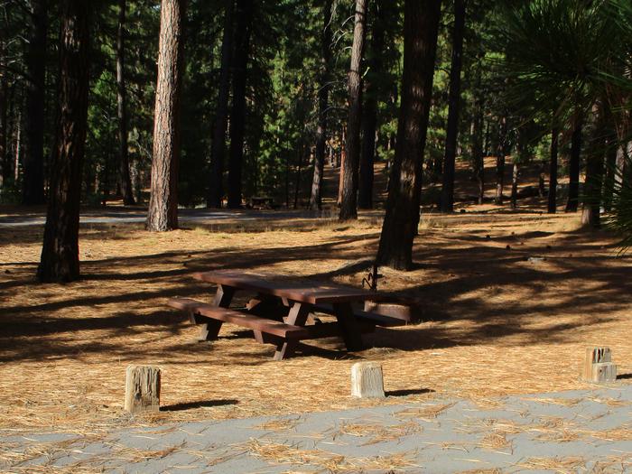 A photo of Site 042 of Loop LOO1 at GRASSHOPPER FLAT with Picnic Table, Fire Pit, Shade