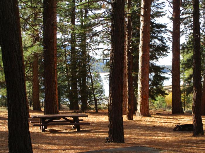 A photo of Site 043 of Loop LOO1 at GRASSHOPPER FLAT with Picnic Table, Fire Pit, Shade