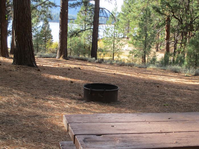 A photo of Site 044 of Loop LOO1 at GRASSHOPPER FLAT with Picnic Table, Fire Pit, Shade