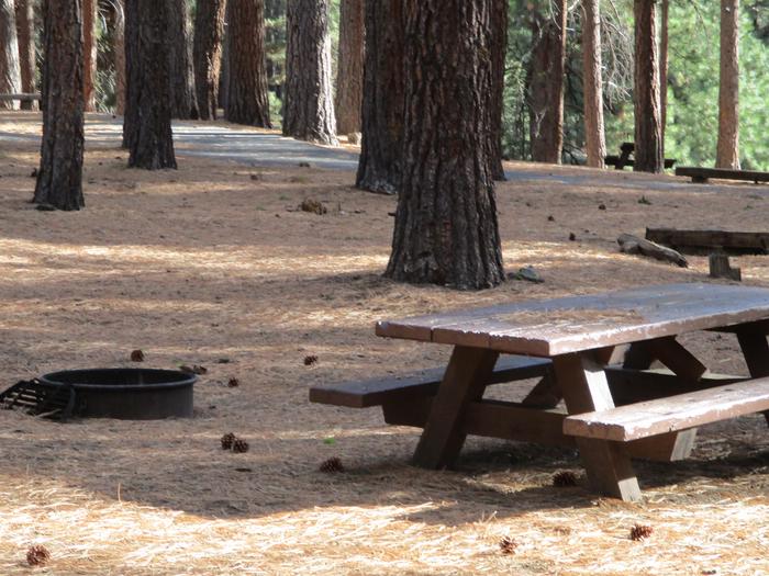 A photo of Site 045 of Loop LOO1 at GRASSHOPPER FLAT with Picnic Table, Fire Pit, Shade