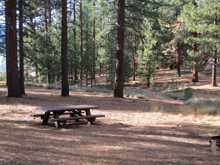 A photo of Site 046 of Loop LOO1 at GRASSHOPPER FLAT with Picnic Table, Fire Pit, Shade