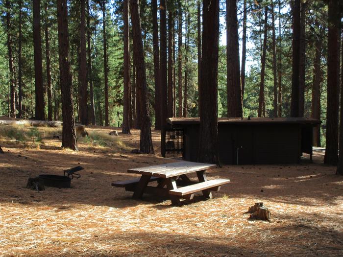 A photo of Site 047 of Loop LOO1 at GRASSHOPPER FLAT with Picnic Table, Fire Pit, Shade