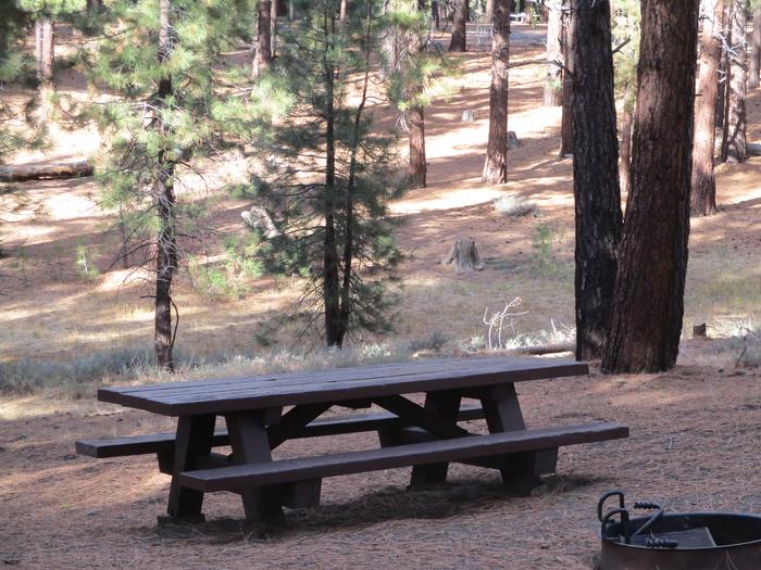 A photo of Site 048 of Loop LOO1 at GRASSHOPPER FLAT with Picnic Table, Fire Pit, Shade