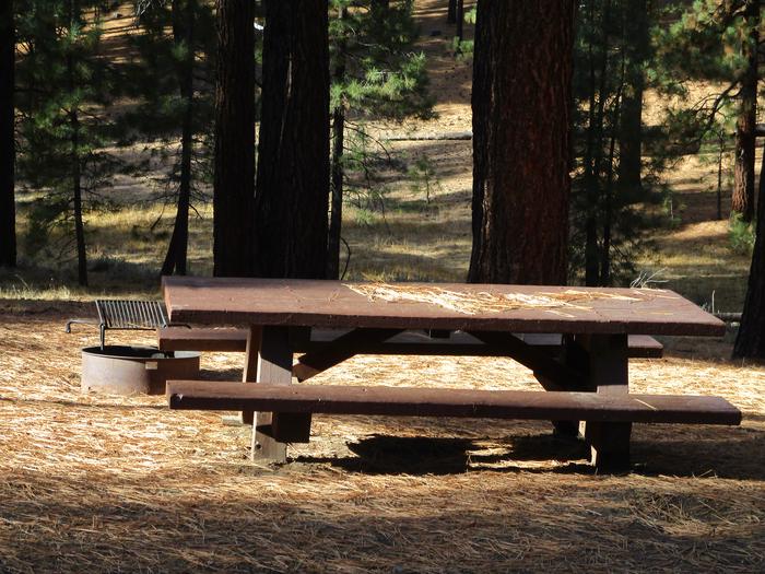 A photo of Site 049 of Loop LOO1 at GRASSHOPPER FLAT with Picnic Table, Fire Pit, Shade